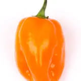 Habanero Orange chilimylly 15g