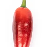 Jalapeno, Tormenta