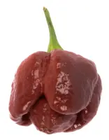 Moruga Chocolate