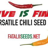 Fatalii’s Five is Fine