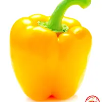 Pimiento Amarillo