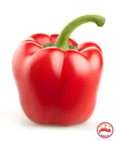 Pimiento Rojo