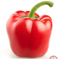 Pimiento Rojo