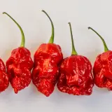 Fatalii Gourmet Jigsaw