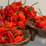 Fatalii Gourmet Jigsaw