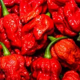 Fatalii Gourmet Jigsaw