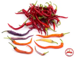 Buena Mulata (Dehydrated Chili)– 200g