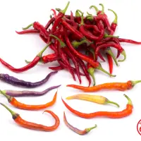 Buena Mulata (Dehydrated Chili)– 200g