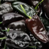 Ancho Poblano