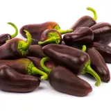 Chilimix: Jalapeno Brown