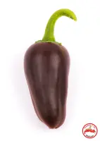 Jalapeno, Brown