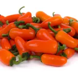 Jalapeno, Orange Spice