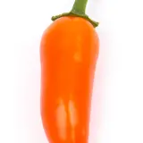 Jalapeno, Orange Spice