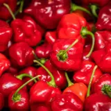 Habanero, Caribbean Red