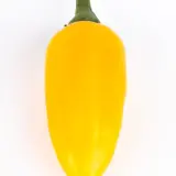 Jalapeno, Yellow