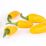 Jalapeno, Yellow