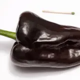 Ancho Poblano