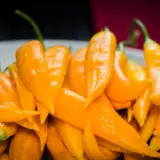 Aji Habanero