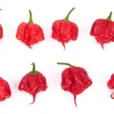 Carolina Reaper Chili Mill 10g