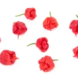 Carolina Reaper Chili Mill 10g