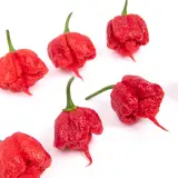 Carolina Reaper Chili Mill 10g