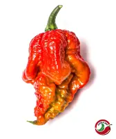 Fatalii Gourmet Jigsaw