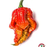 Chili Vault: Fatalii Gourmet Jigsaw - 10g Chili Flakes