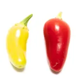 Jalapeno, Numex Pinata