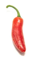 Jalapeno, Numex Vaquero