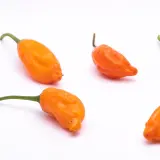 Aji Ecuadorian Orange