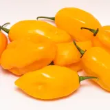 Habanero, Marobie Yellow