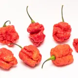 Moruga Red Monster