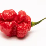 Moruga Red Monster