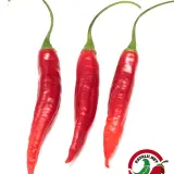 Aji Huanuco