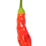 Aji Huanuco