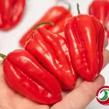 Chili Vault: SMOKED Habanero Master Blend - 10g Chili Flakes