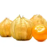 Cape Gooseberry (Physalis peruviana)