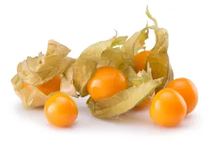 Cape Gooseberry (Physalis peruviana)