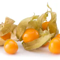 Cape Gooseberry (Physalis peruviana)