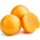 Cape Gooseberry (Physalis peruviana)