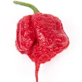 Carolina Reaper Chili Mill 10g