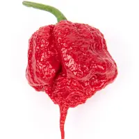 Carolina Reaper