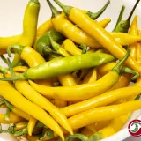 Cayenne, Yellow