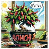 Bonchi Seed Kit (Seeds)