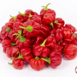 Scotch Bonnet Safi