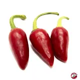 Aji Picante