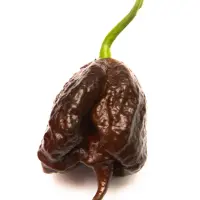 Carolina Reaper, Chocolate