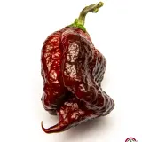 Carolina Reaper, Chocolate