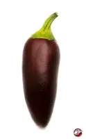 Jalapeno, Azabache