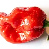 Moruga Sweet Chili Mill 10g